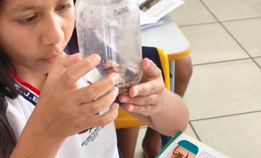 Força-tarefa contra escorpiões mantém mobilização e leva orientação às escolas