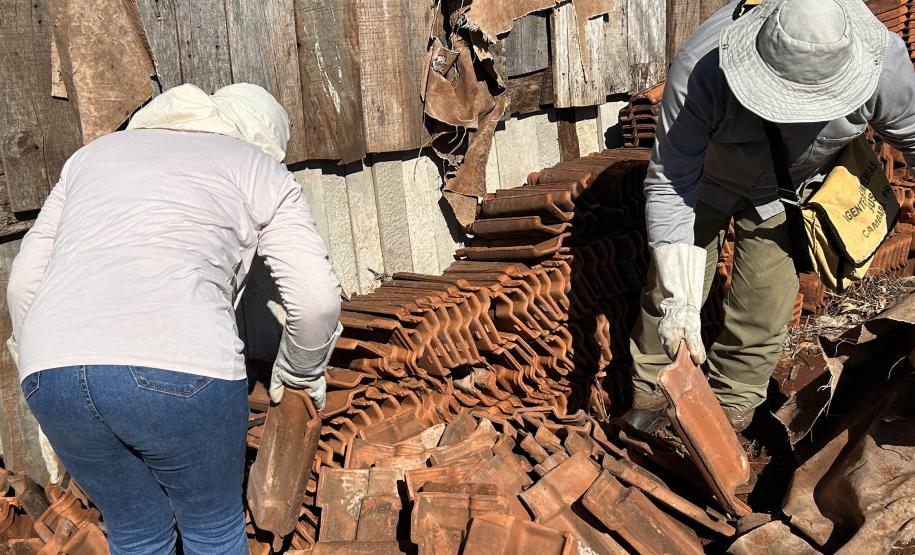 Estado e prefeitura de Cambará se unem para prevenir acidentes com escorpiões