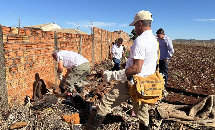 Estado e prefeitura de Cambará se unem para prevenir acidentes com escorpiões