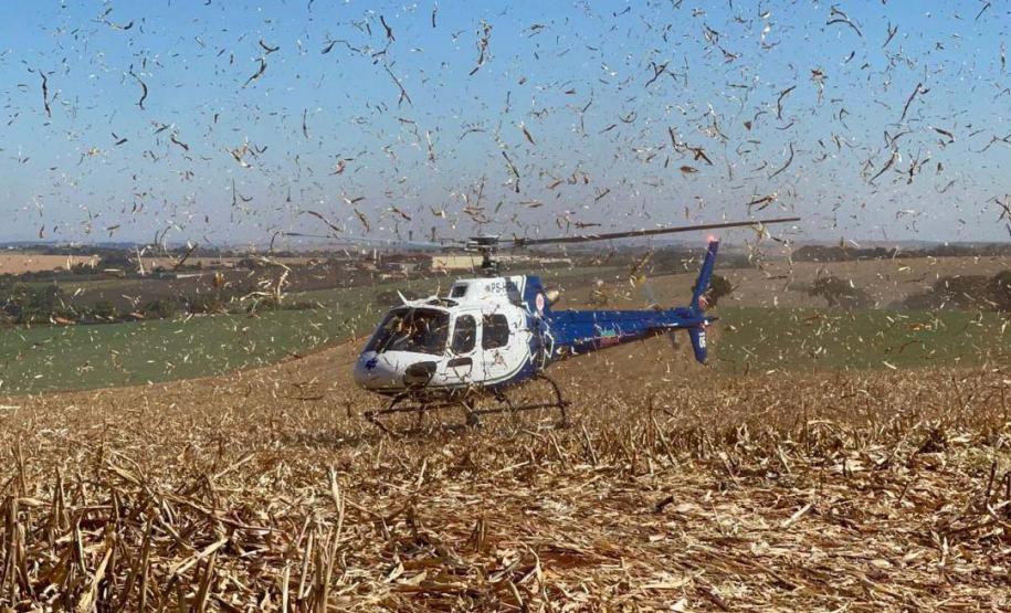 Referência nacional, serviço aeromédico do Paraná garante assistência em todas as regiões