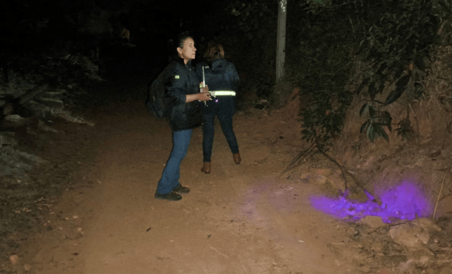 Ações da Saúde no Norte Pioneiro capturam mais de 5 mil escorpiões desde agosto