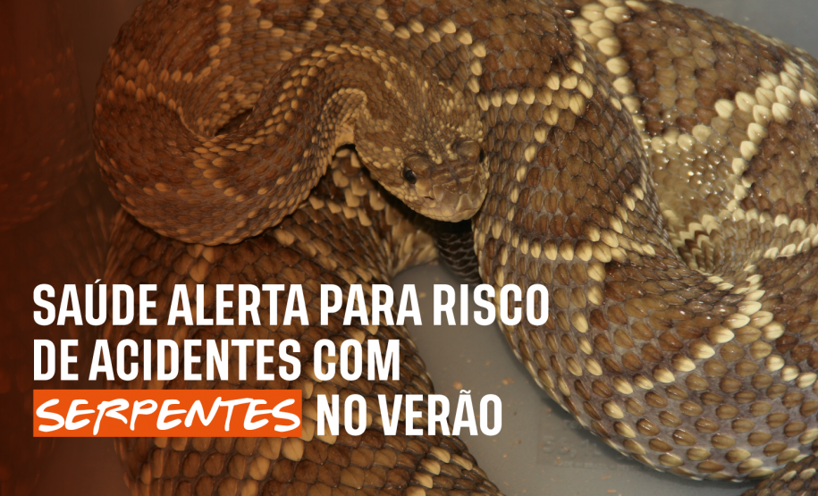 Secretaria da Saúde alerta para risco de acidentes com serpentes no verão
