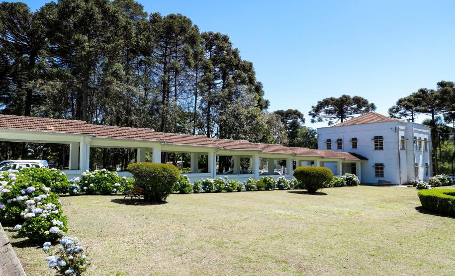 Paraná amplia rede hospitalar e bate recordes de cirurgias, exames e internamentos