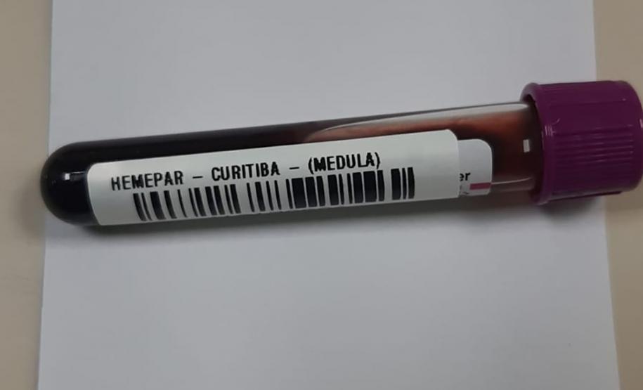 Fevereiro Laranja: mês da conscientização sobre leucemia reforça importância do diagnóstico