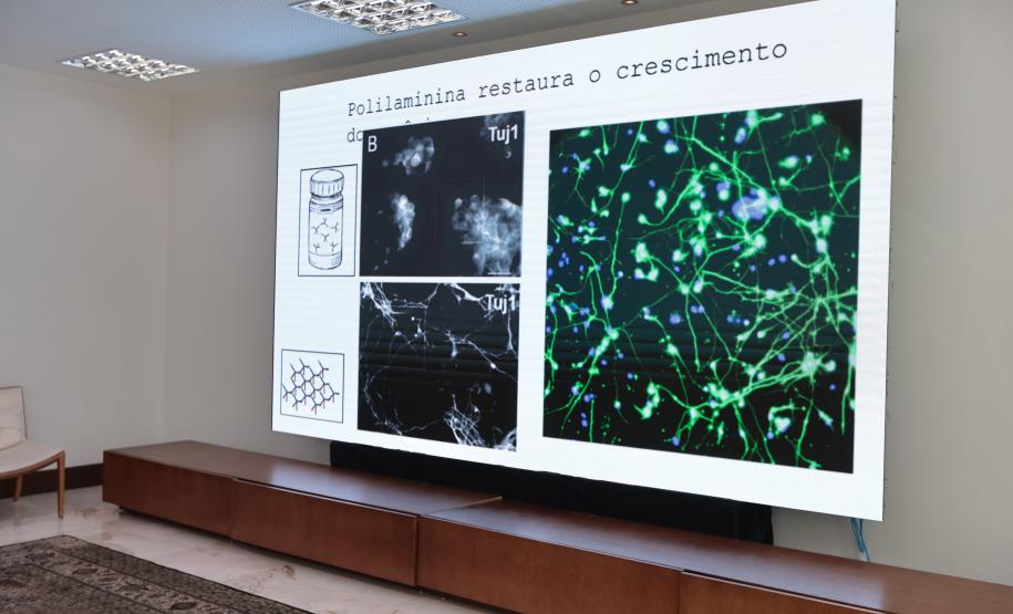 Paraná já tem 8 aplicações de polilamimina; Ratinho Junior recebe médicos e reforça apoio à pesquisa