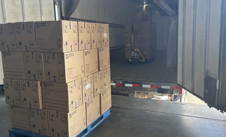 Paraná recebe 332 mil vacinas contra a gripe para início da campanha no próximo sábado