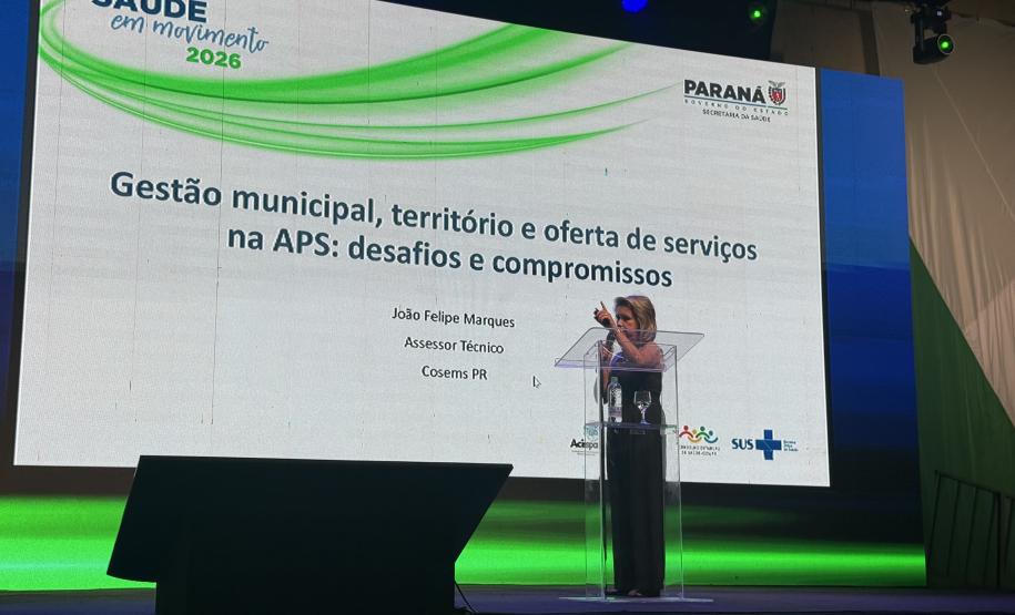 Estado, União e municípios debatem fortalecimento da Atenção Primária à Saúde