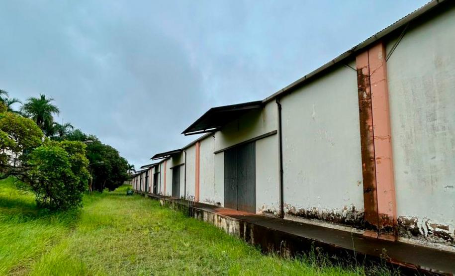 Estado fortalecerá distribuição de medicamentos no Norte com uso de galpões do IBC