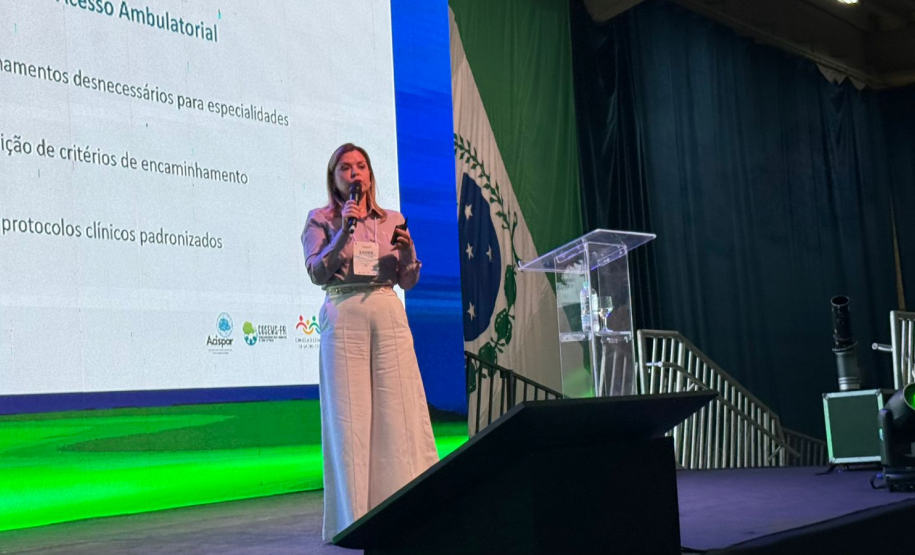 Gestores apresentam resultados da planificação de processos na organização da Atenção Primária à Saúde