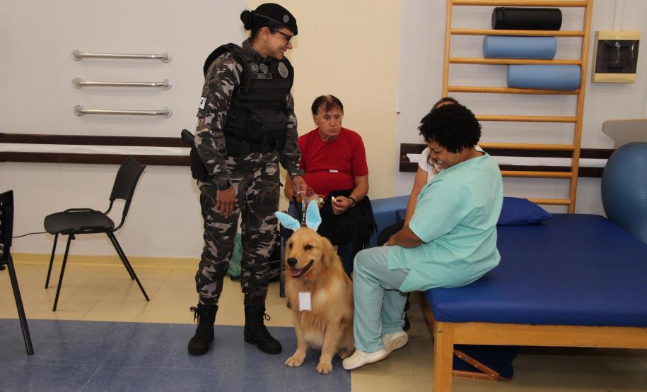 Hospital de Reabilitação inicia projeto de terapia de pacientes com cães da PMPR