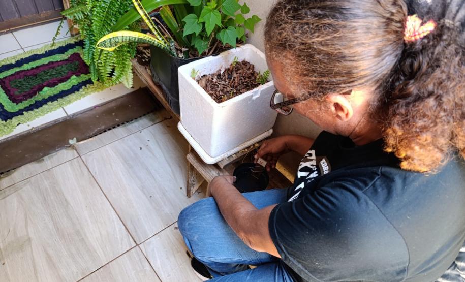 Combate: Paraná monitora arboviroses com sistema eficiente e de baixo custo