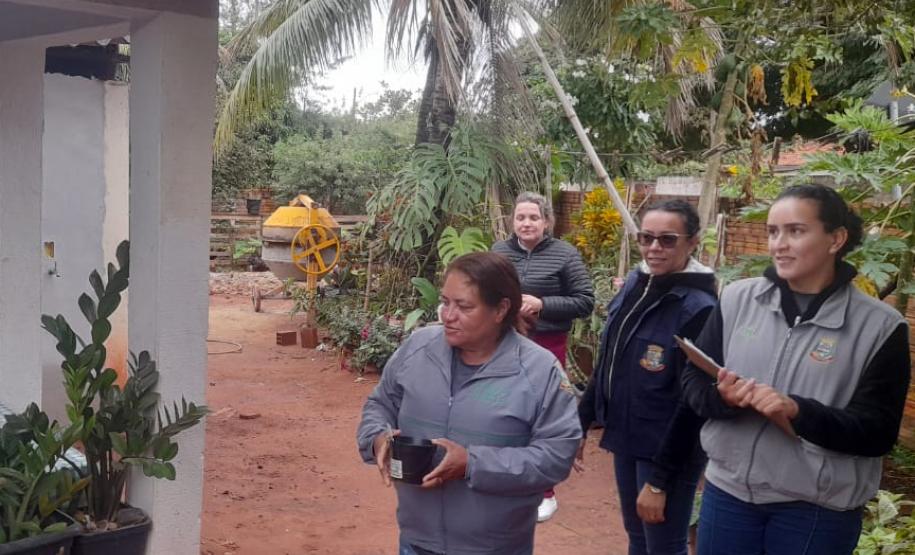 Combate: Paraná monitora arboviroses com sistema eficiente e de baixo custo