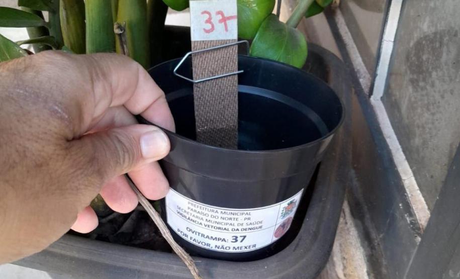 Combate: Paraná monitora arboviroses com sistema eficiente e de baixo custo