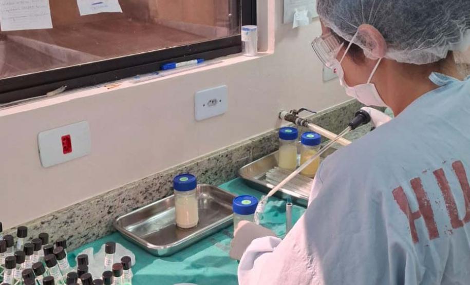 A estrutura de 15 bancos de leite e 19 pontos de coleta foi responsável por alimentar quase 19 mil bebês que precisavam do suporte em 2025 e quase 5 mil entre os meses de janeiro a março de 2026