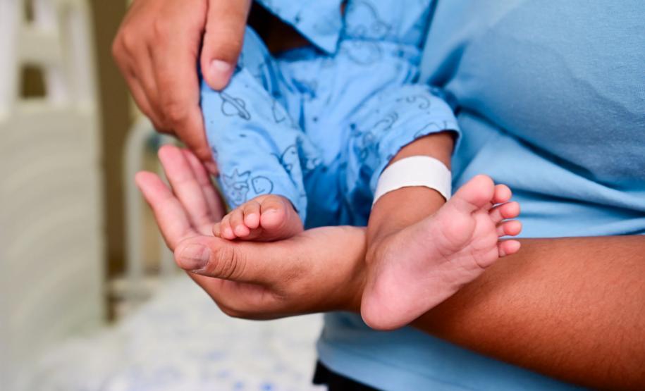 Novo relatório nacional reforça protagonismo do Paraná em doação e transplante de órgãos