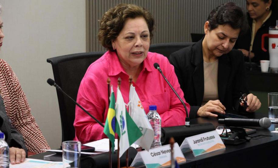 Paraná apresenta ao Conass avanços do PlanificaSUS em saúde mental na Atenção Primária