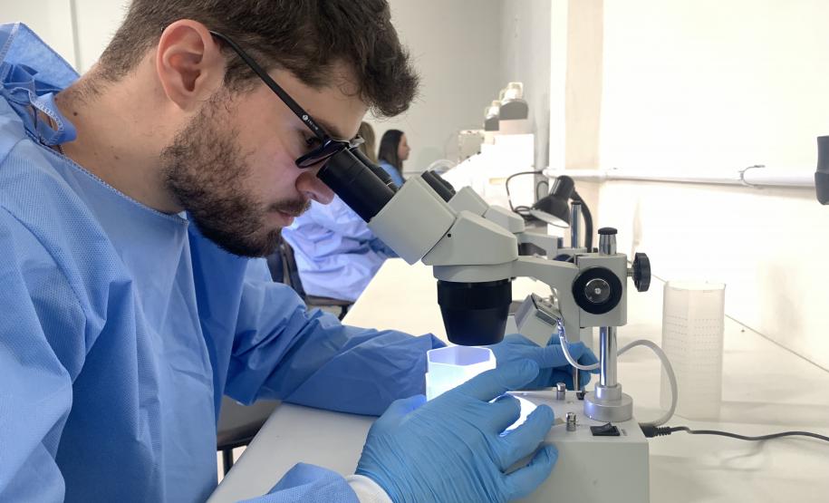 Vigilância Ambiental da Sesa muda parâmetros no combate a dengue e outras doenças com tecnologia e estratégia