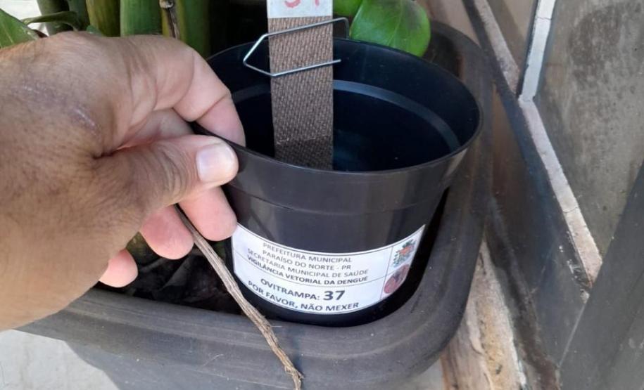 Vigilância Ambiental da Sesa muda parâmetros no combate a dengue e outras doenças com tecnologia e estratégia