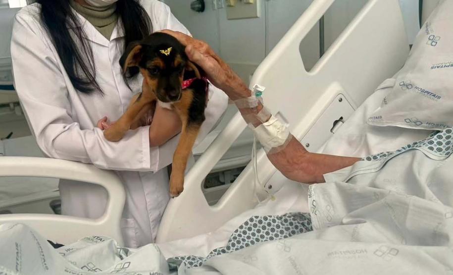 Unidade de Cuidados Paliativos do Hospital Zona Norte de Londrina completa 10 anos