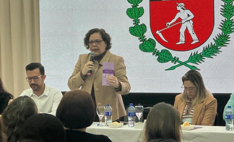Sesa e Cosems avançam com novas diretrizes para a saúde pública em reunião da CIB