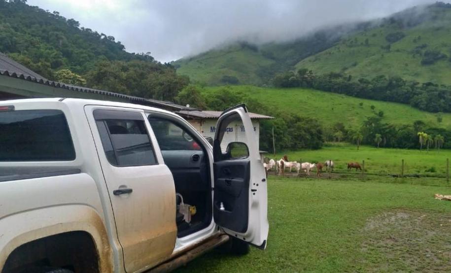 SESA registra novo caso de febre amarela