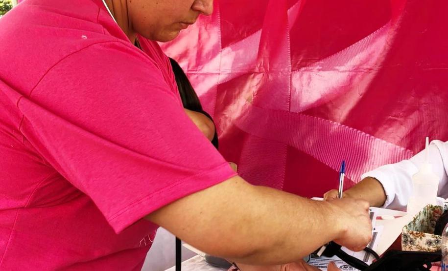 Paraná Rosa