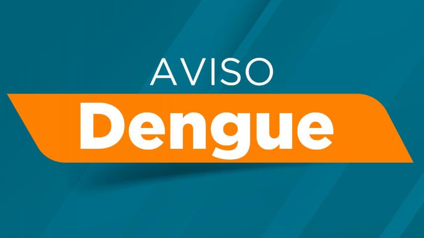 Informe da dengue 