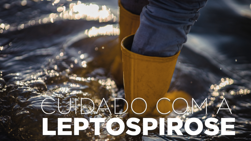 Saúde alerta: leptospirose é doença grave e risco aumenta após chuvas