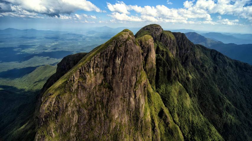 Secretaria da Saúde alerta sobre cuidados para quem frequenta áreas de mata no verão 