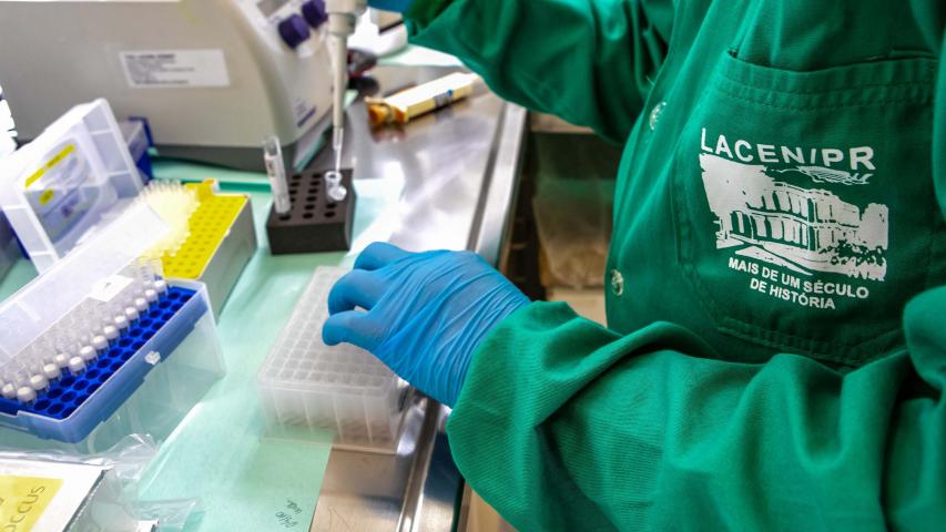 pesquisa internacional