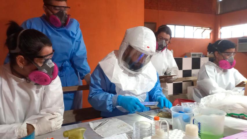 Paraná mantém vigilância rigorosa contra hantavirose