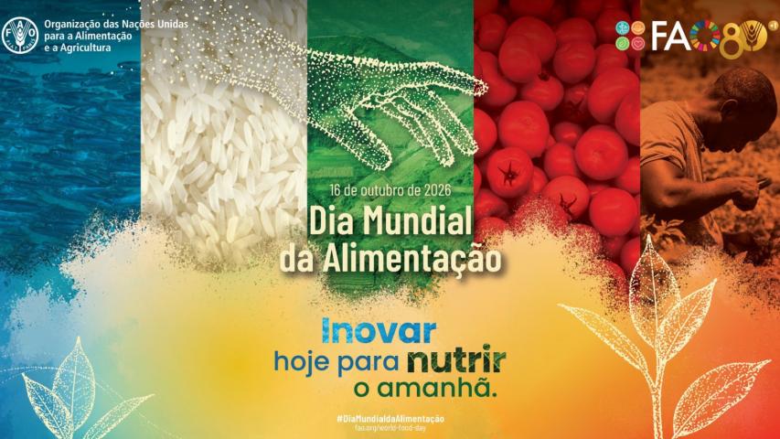 No Dia Mundial da Alimentação, Sesa reforça a importância da redução da insegurança alimentar